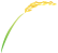 圖片（piàn）